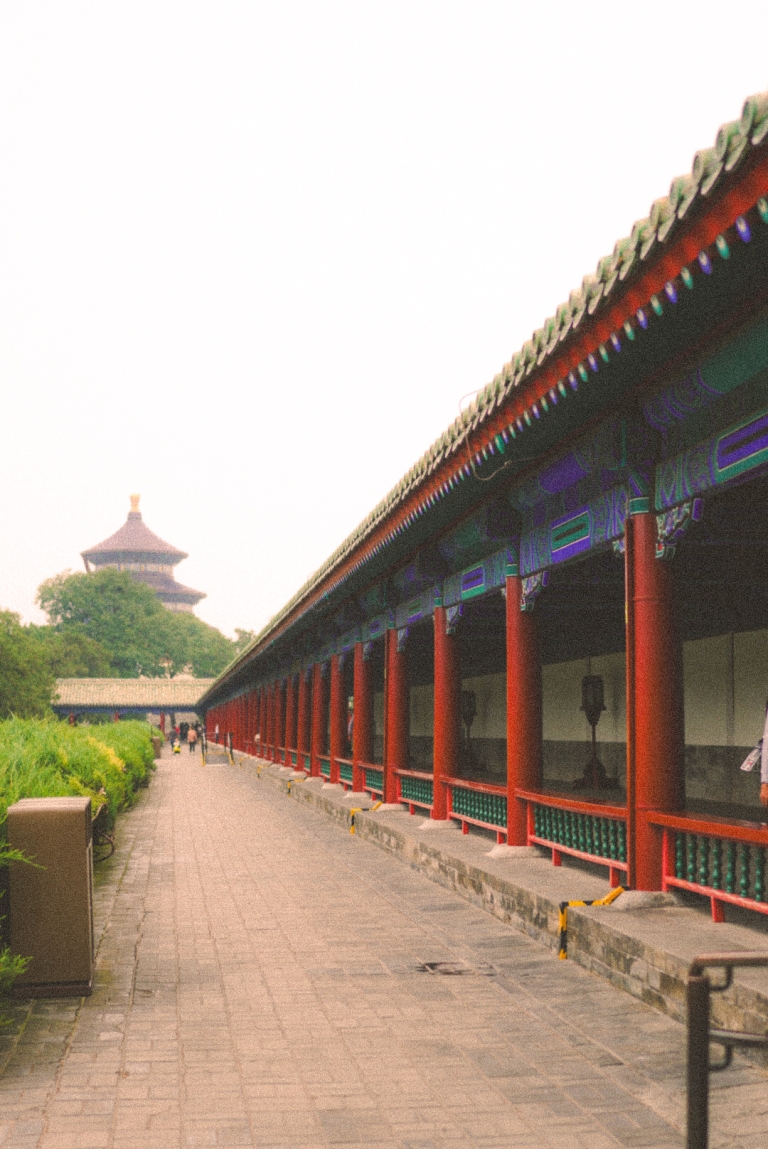 karla-ćurin-peking-journal8