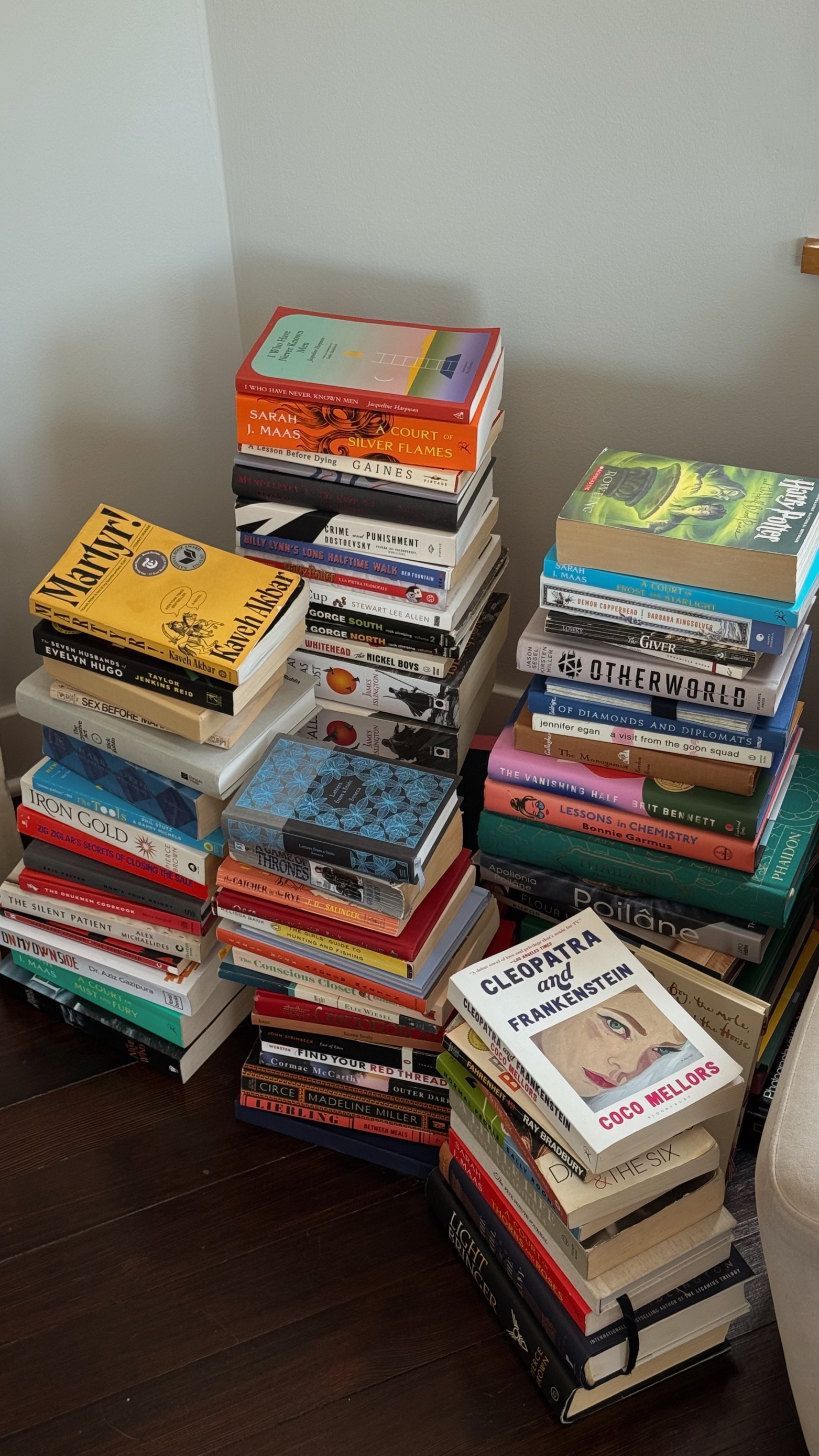 U zadnje vrijeme književne preporuke tražimo na BookToku. Evo što nam je preporučio ove godine