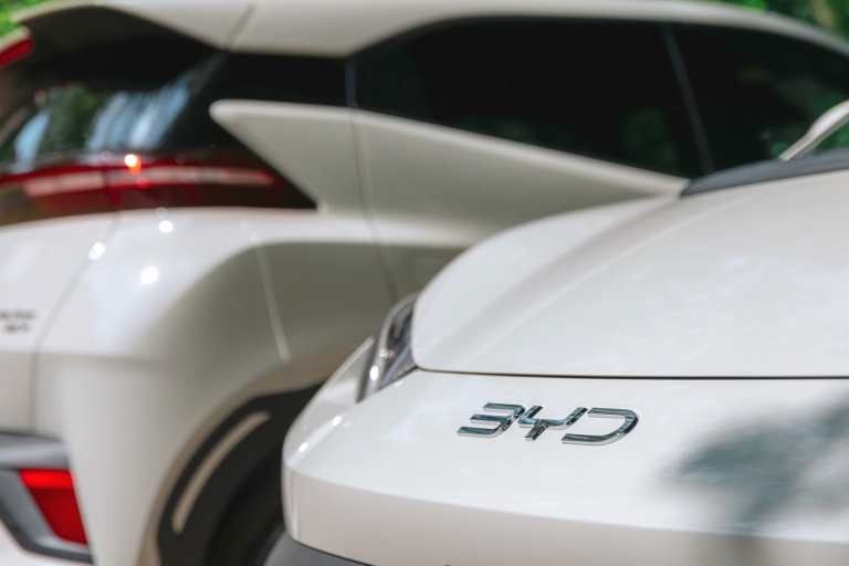BYD_Dolphin Surf