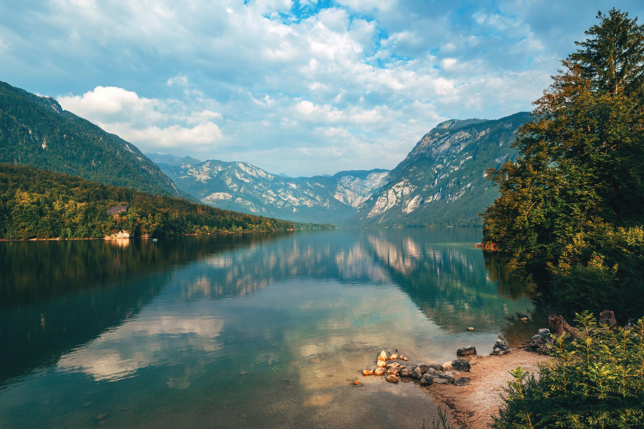 Jezero Bohinj_BitsAndSplits_iStock-2129574052