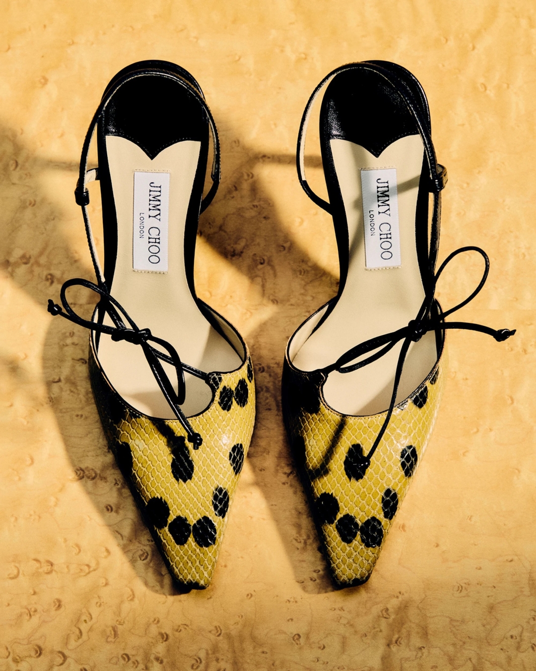 Jimmy Choo