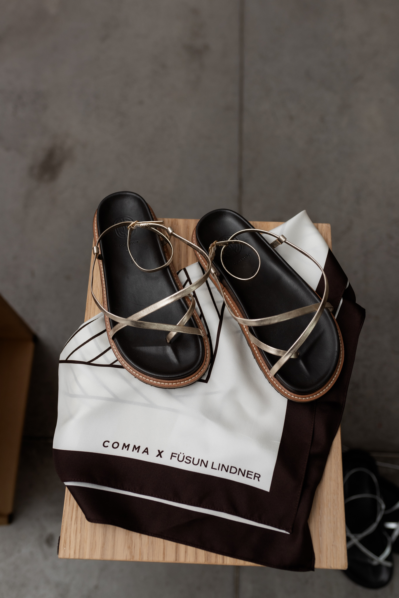 Journal x Comma x Füsun Lindner event