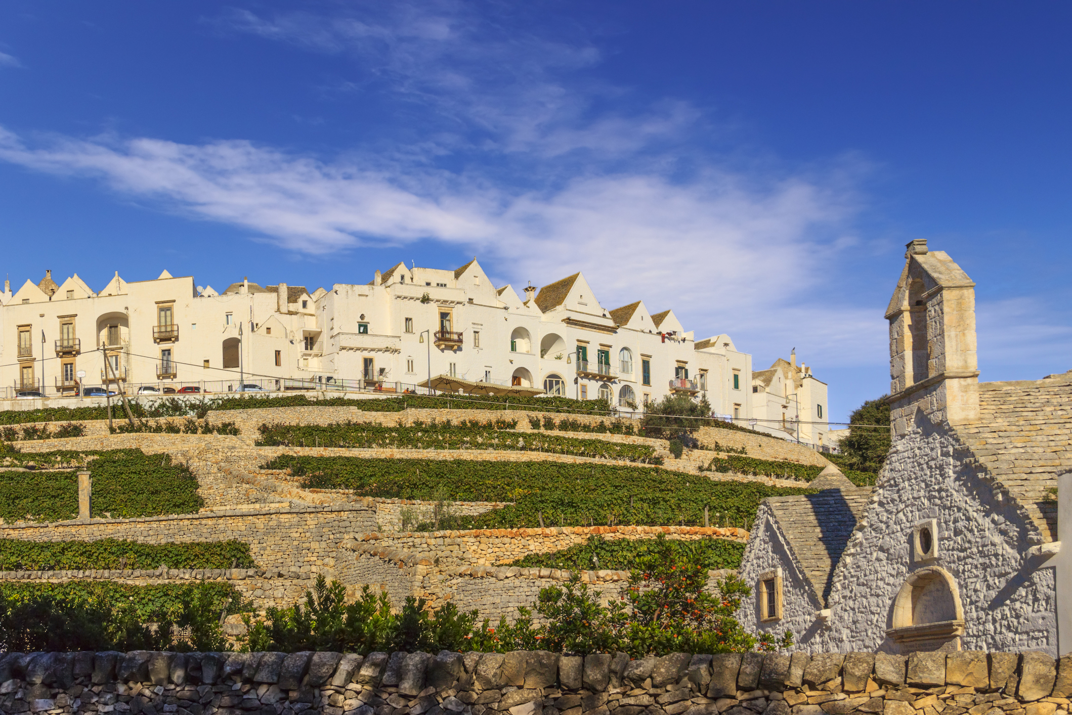 Locorotondo_vololibero_iStock-619969078
