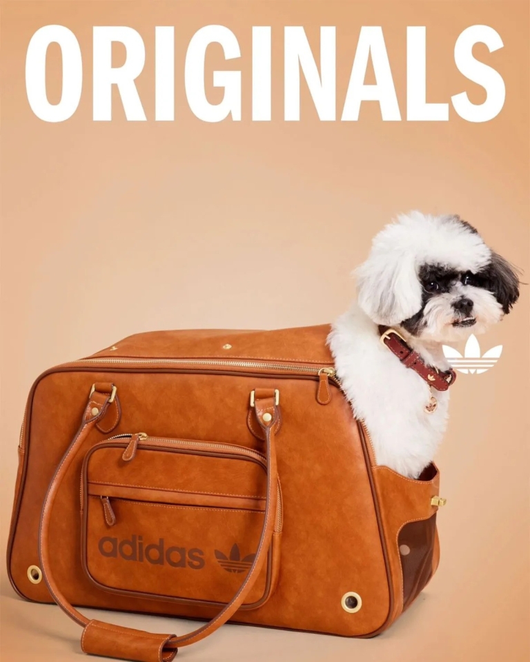 adidas Originals Pets