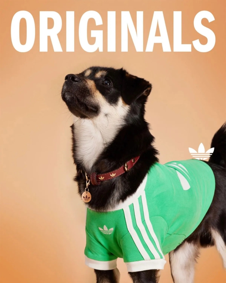 adidas Originals Pets