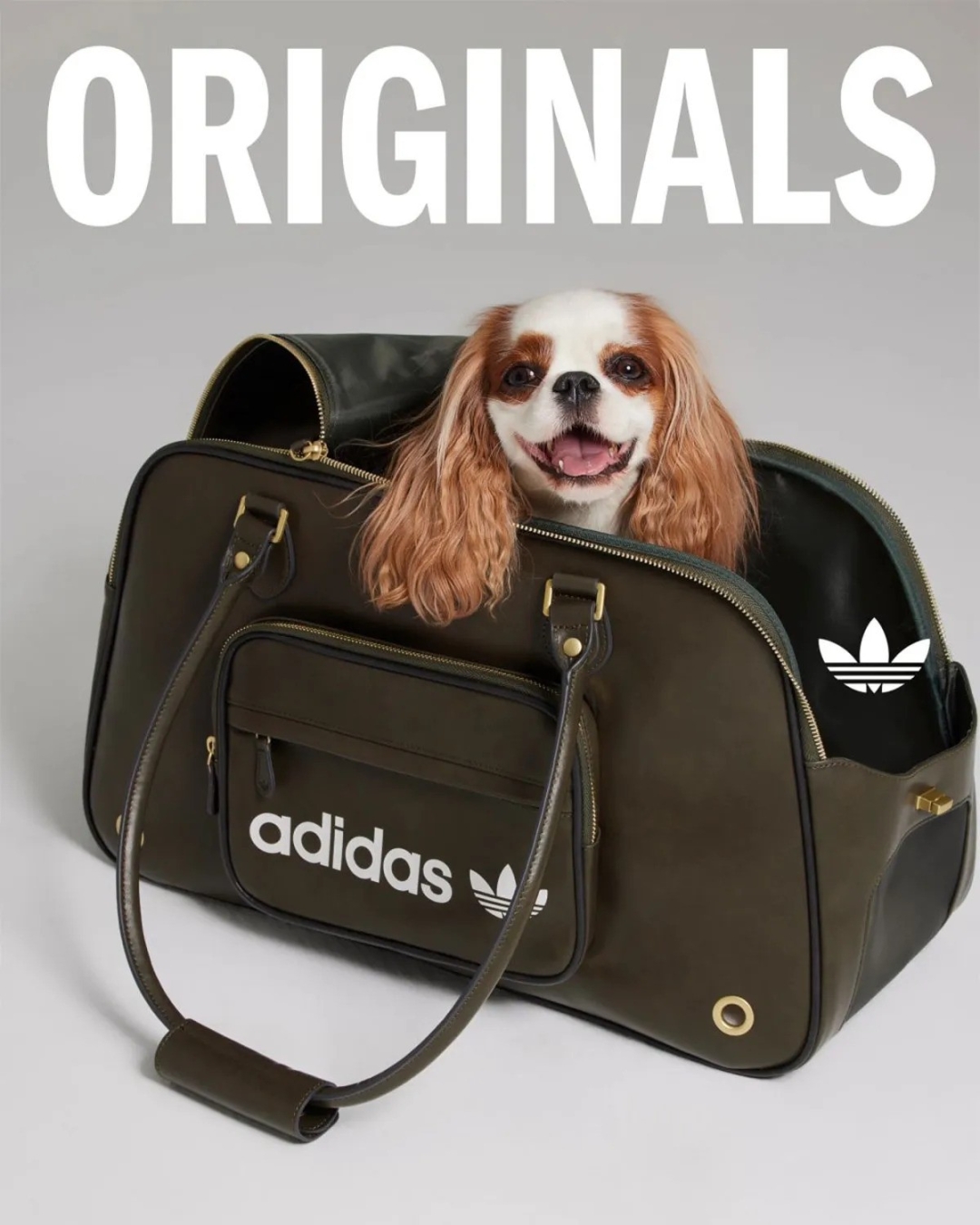 adidas Originals Pets
