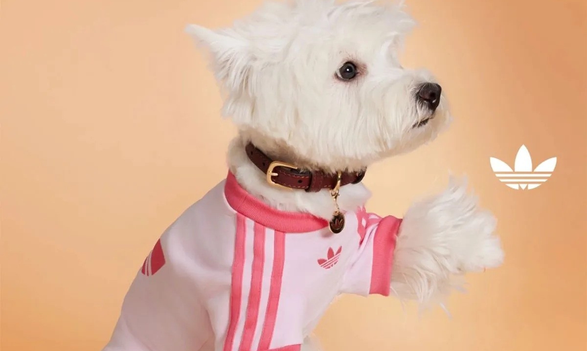 Nova adidas Originals kolekcija za kućne ljubimce je nešto najslađe što ćete vidjeti danas