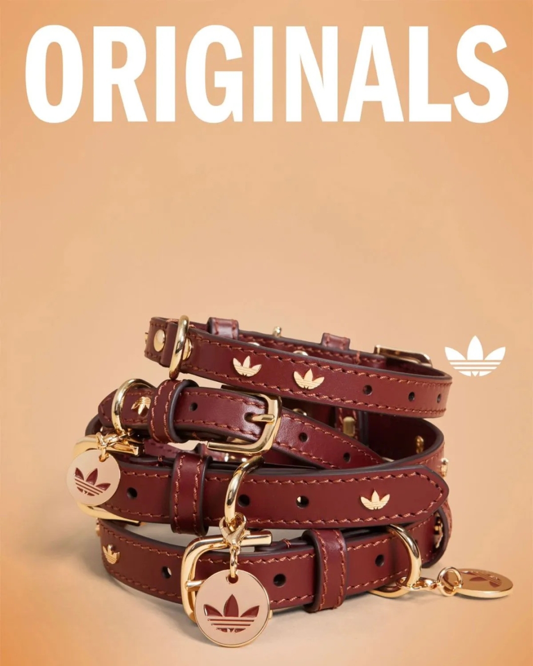 adidas Originals Pets