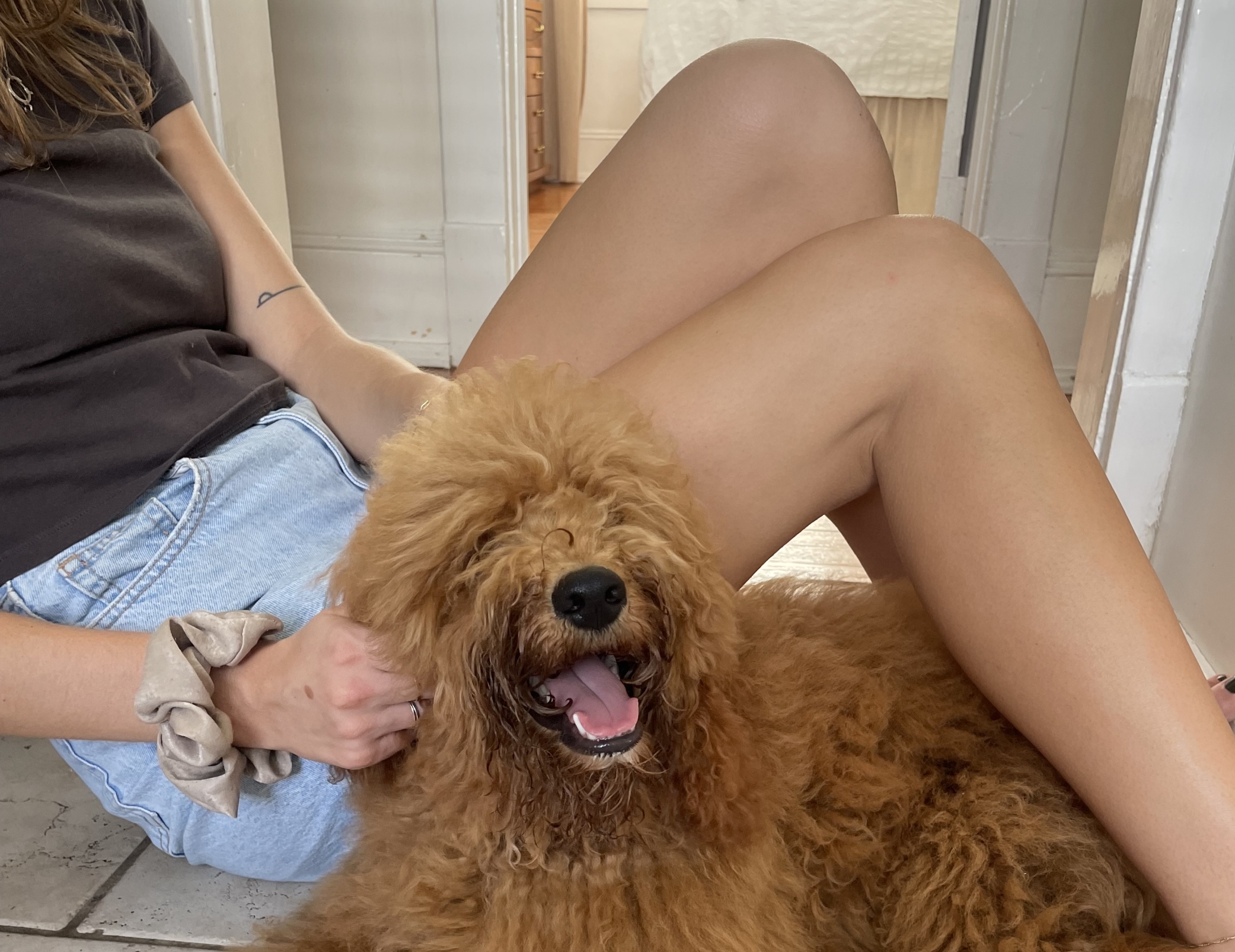 Želite vježbati sa psima? Puppy Yoga stiže u Zagreb – evo gdje možete pronaći više detalja