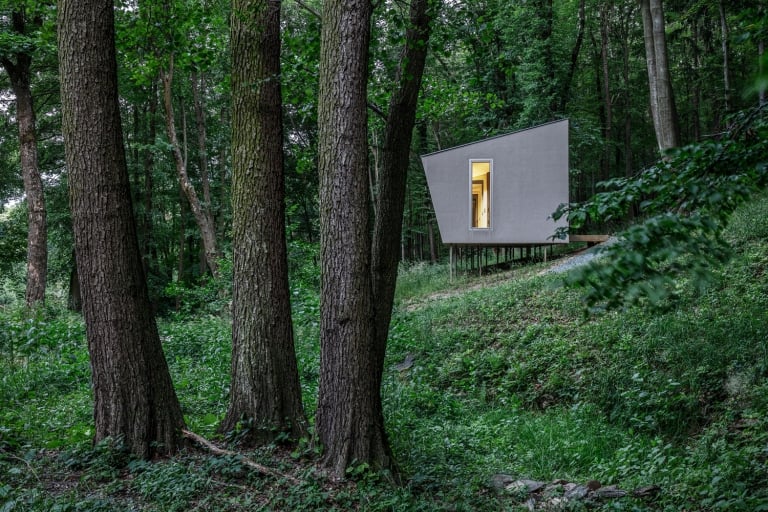 Cabin Moss (2)
