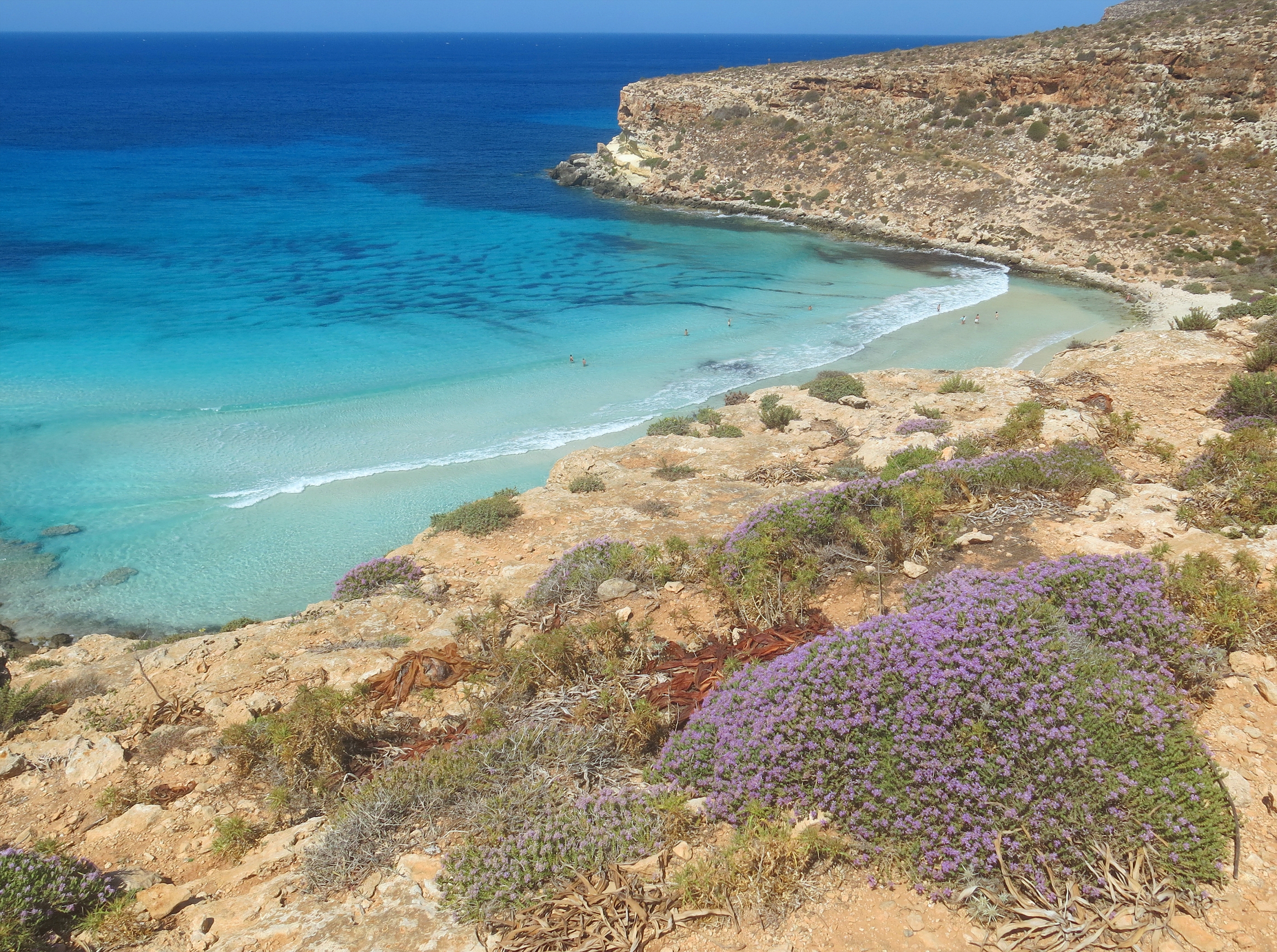 Isola dei Conigli_ChiccoDodiFC_iStock-1822979598