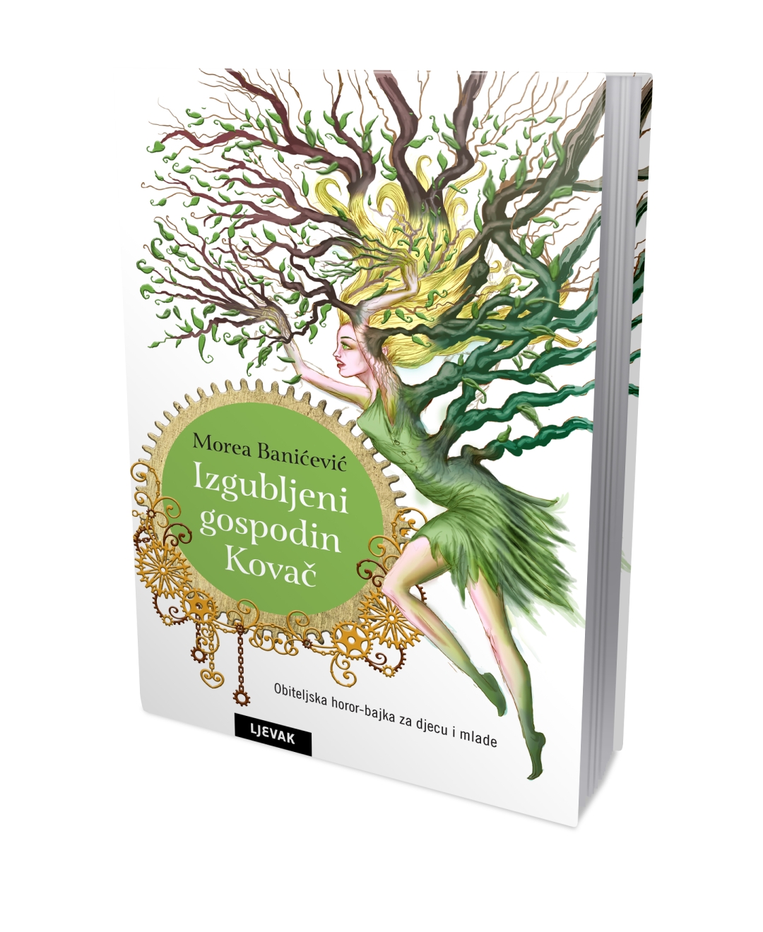 Izgubljeni gospodin Kovač