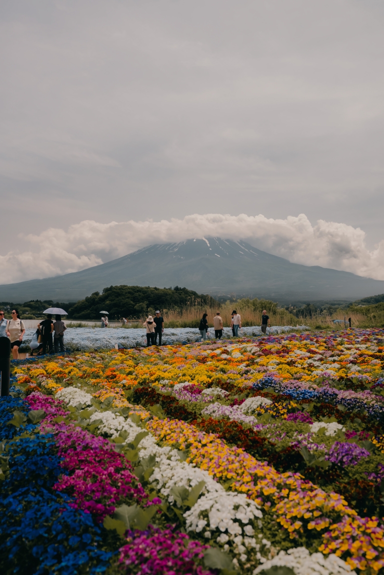 Japan