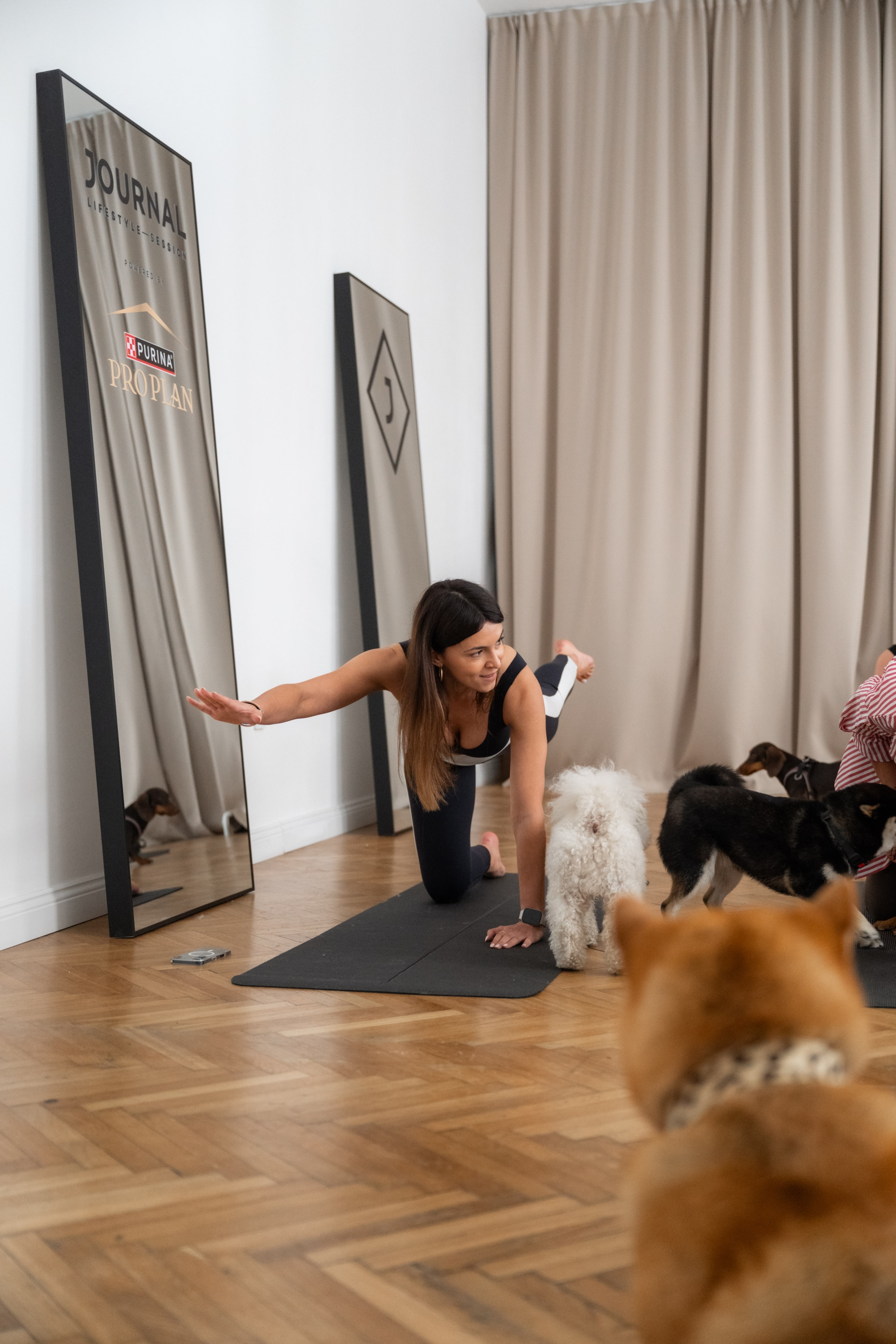 Journal lifestyle session x purina pro plan - puppy yoga