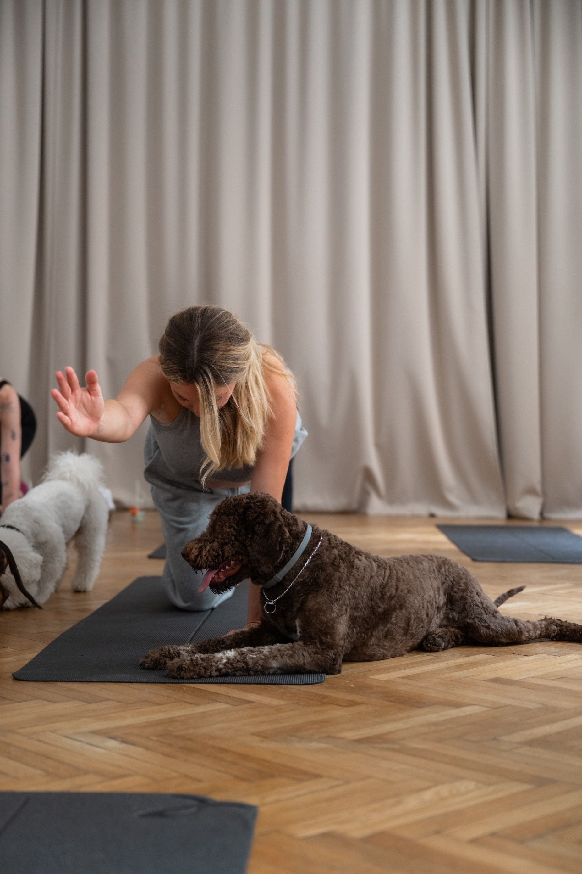 Journal lifestyle session x purina pro plan - puppy yoga