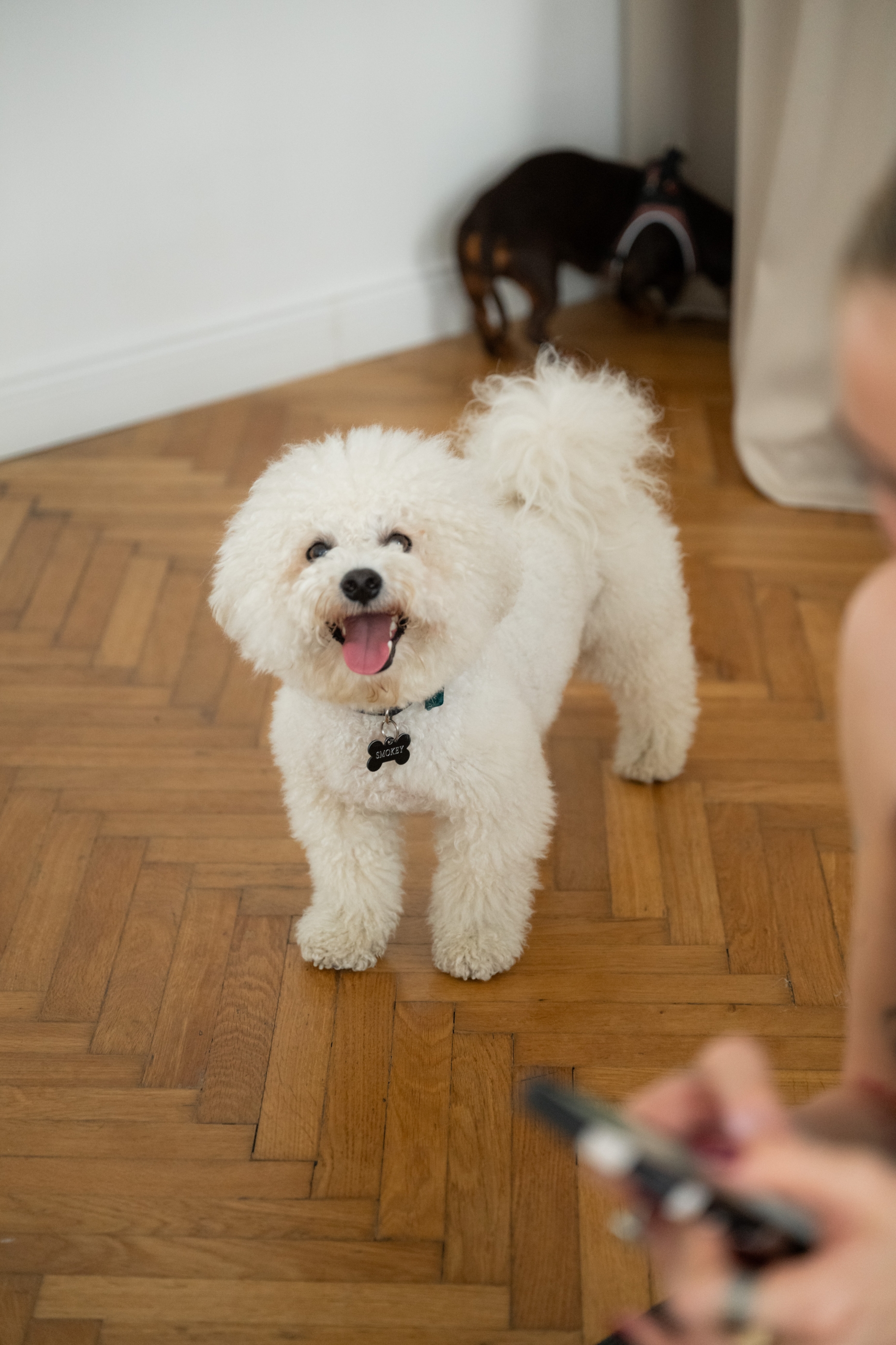 Journal lifestyle session x purina pro plan - puppy yoga