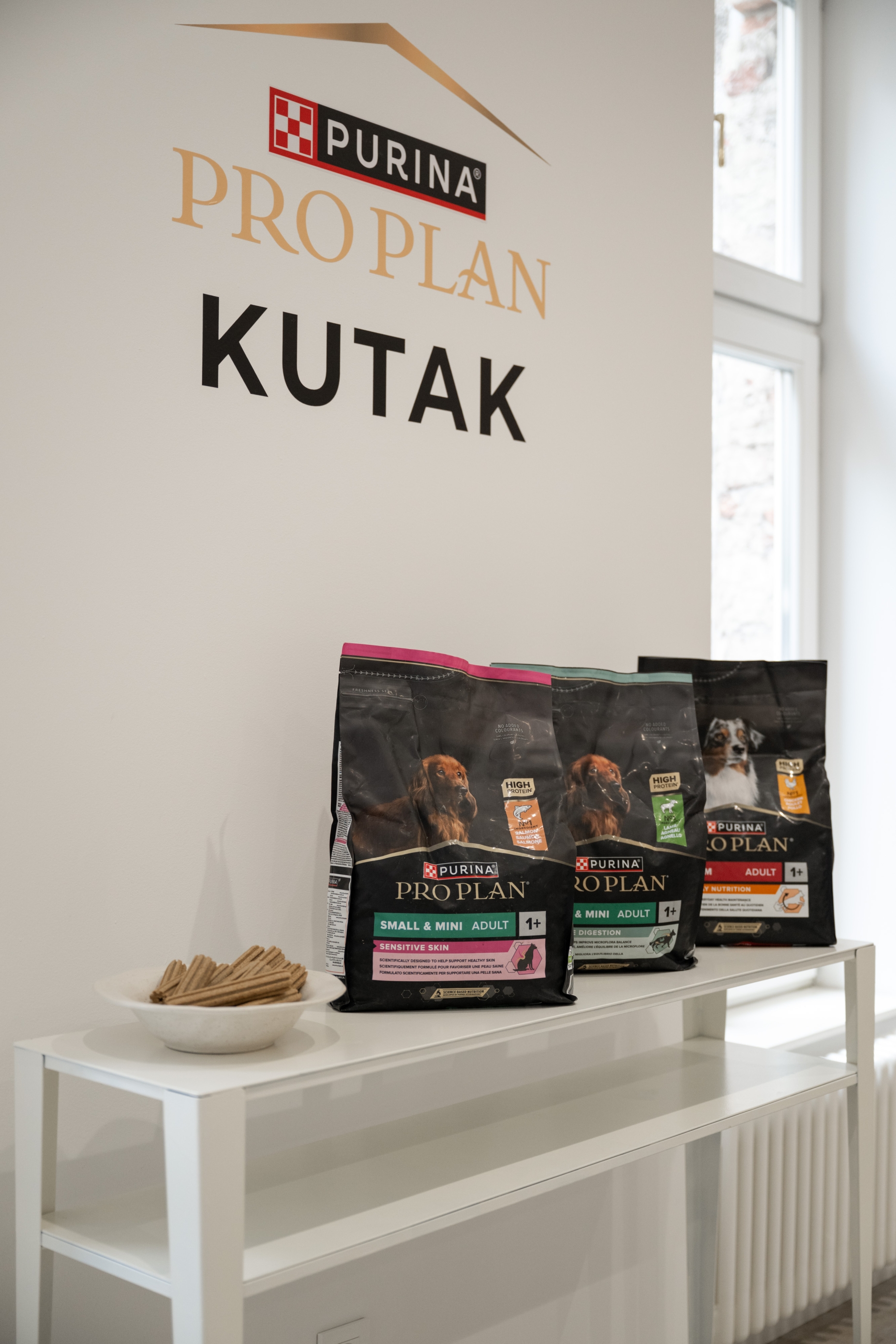 Journal lifestyle session x purina pro plan - puppy yoga