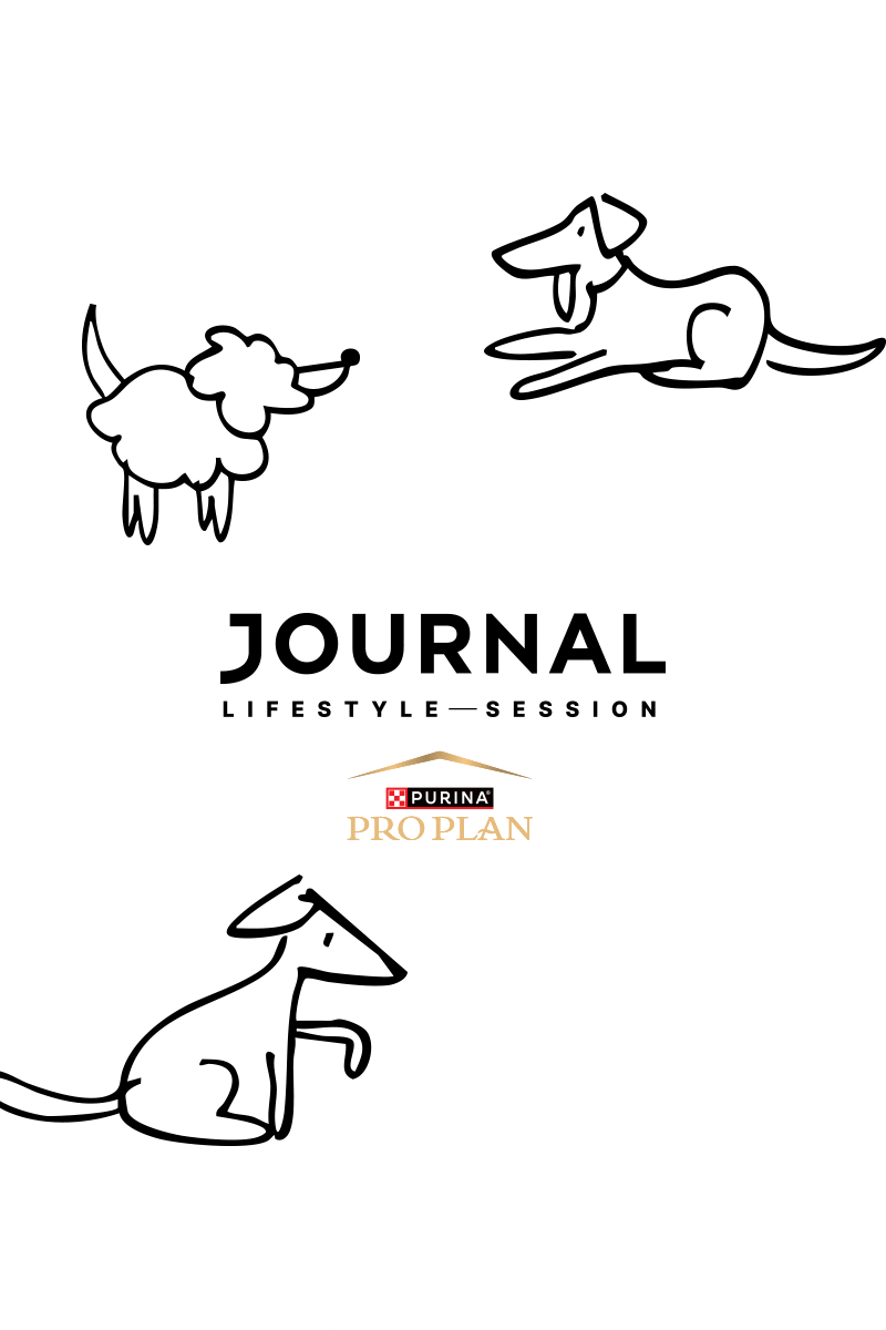Journal lifestyle session x purina pro plan - puppy yoga (2)