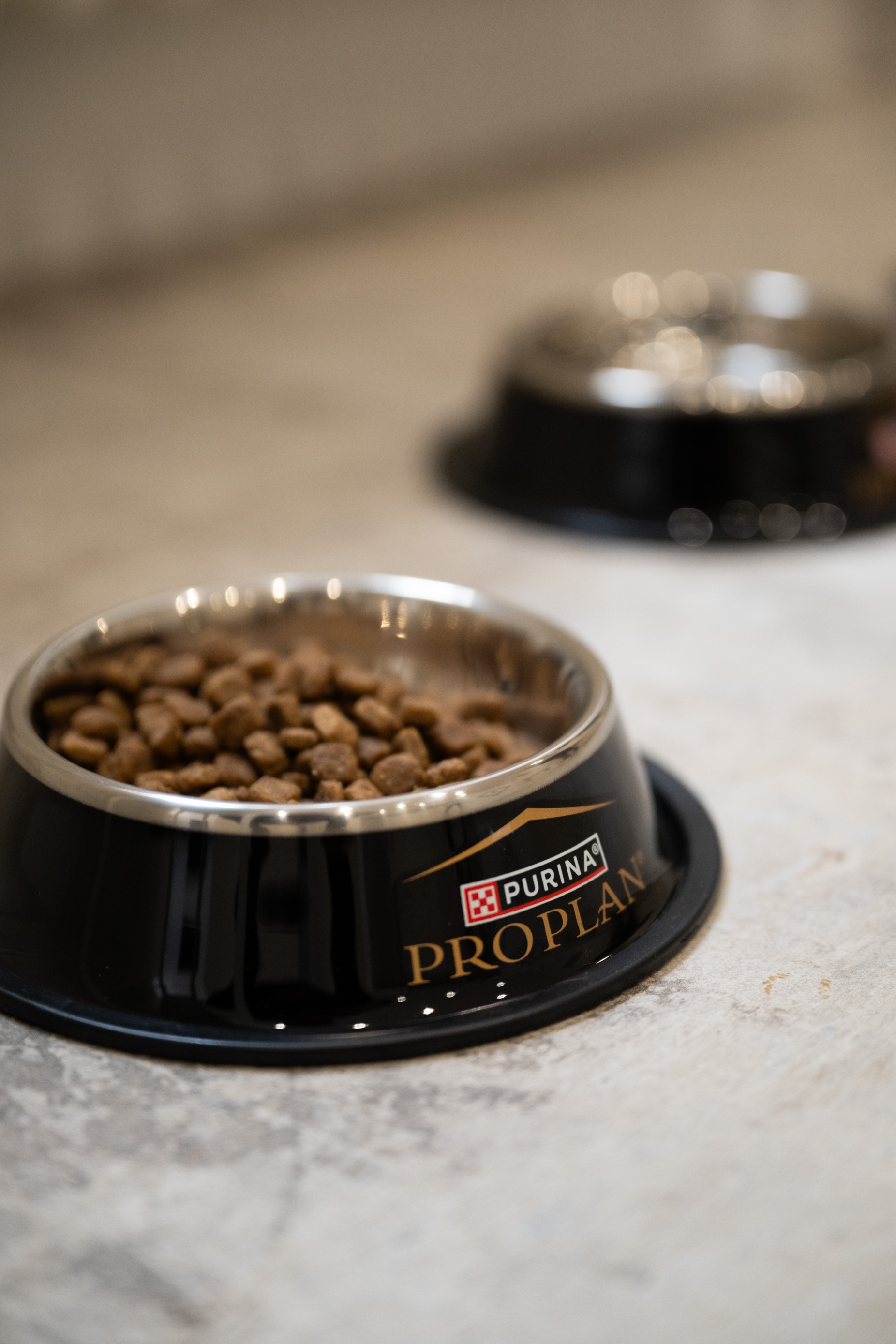 Journal lifestyle session x purina pro plan - puppy yoga