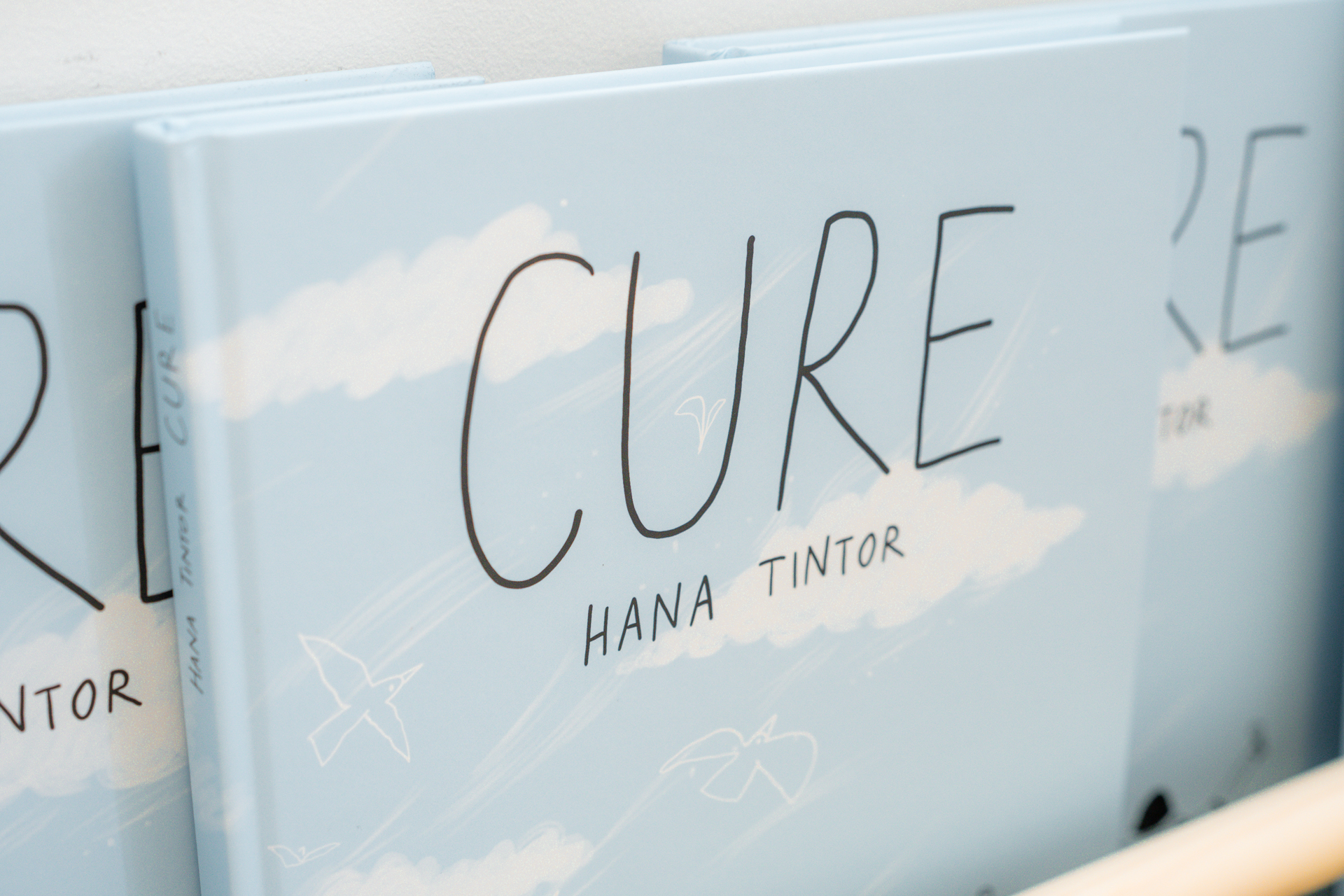 Journal_Cure_Karla_Curin-1