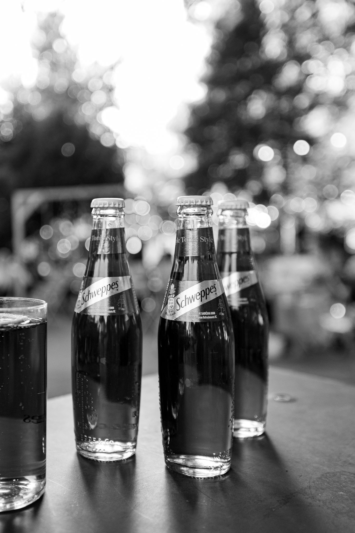 Schweppes Purple Garden