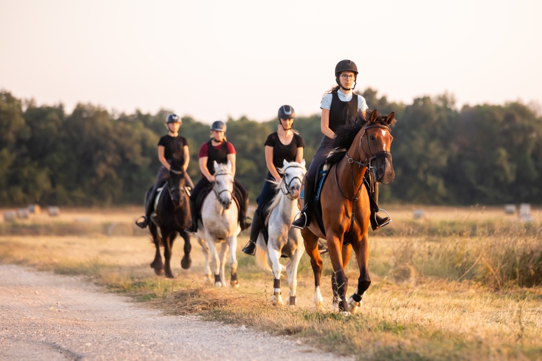 Valamar Summer Camp