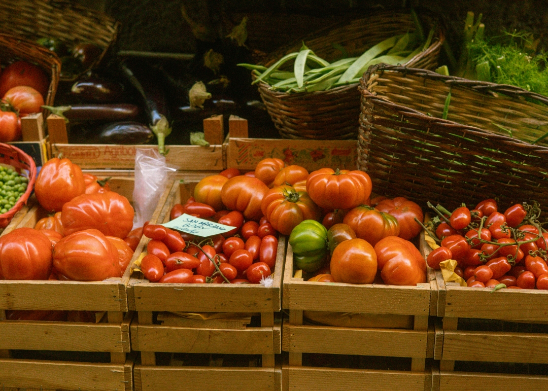 domaca salsa od rajcica