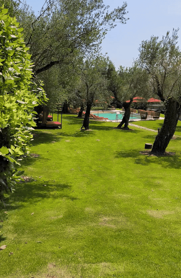 jezero Garda_privatna arhiva_video