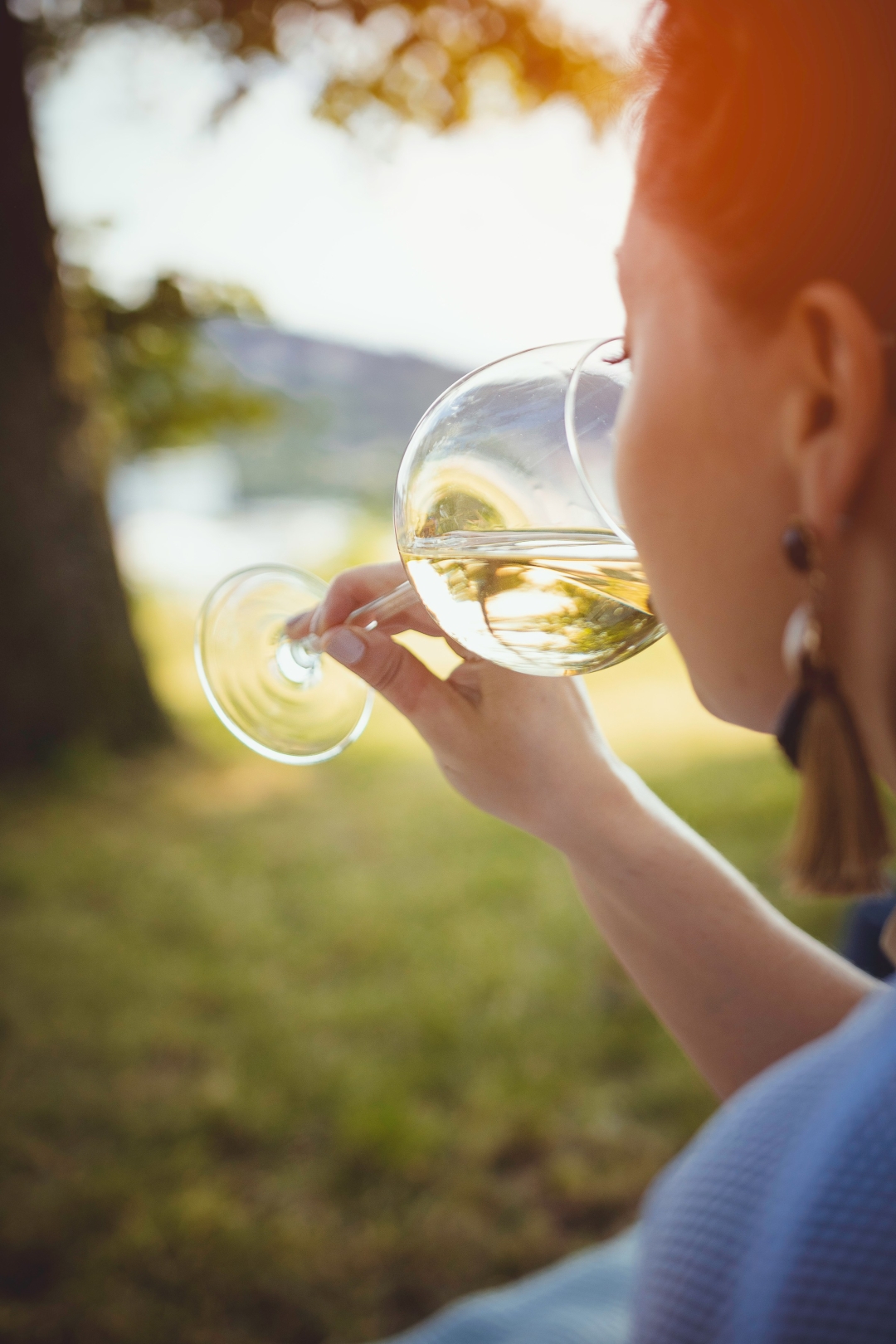 vino