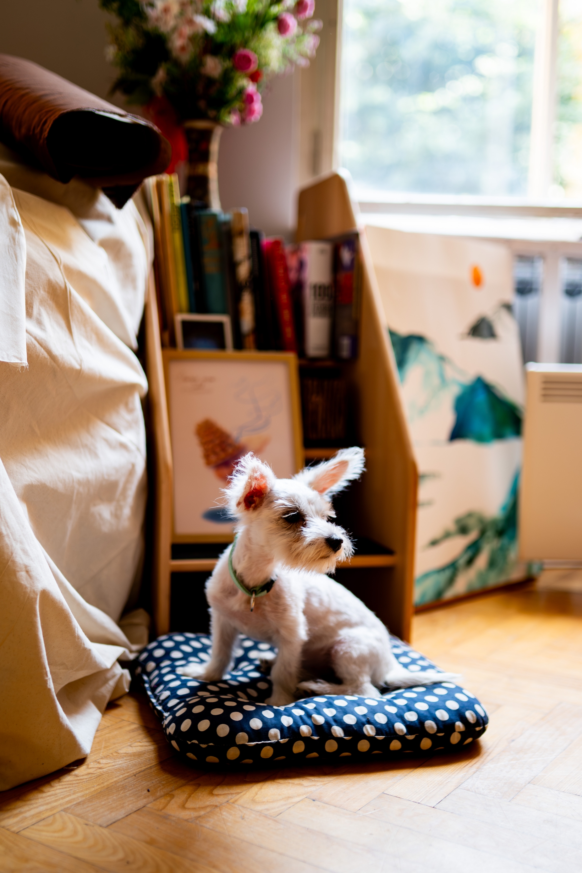 Atelier Mirna-4