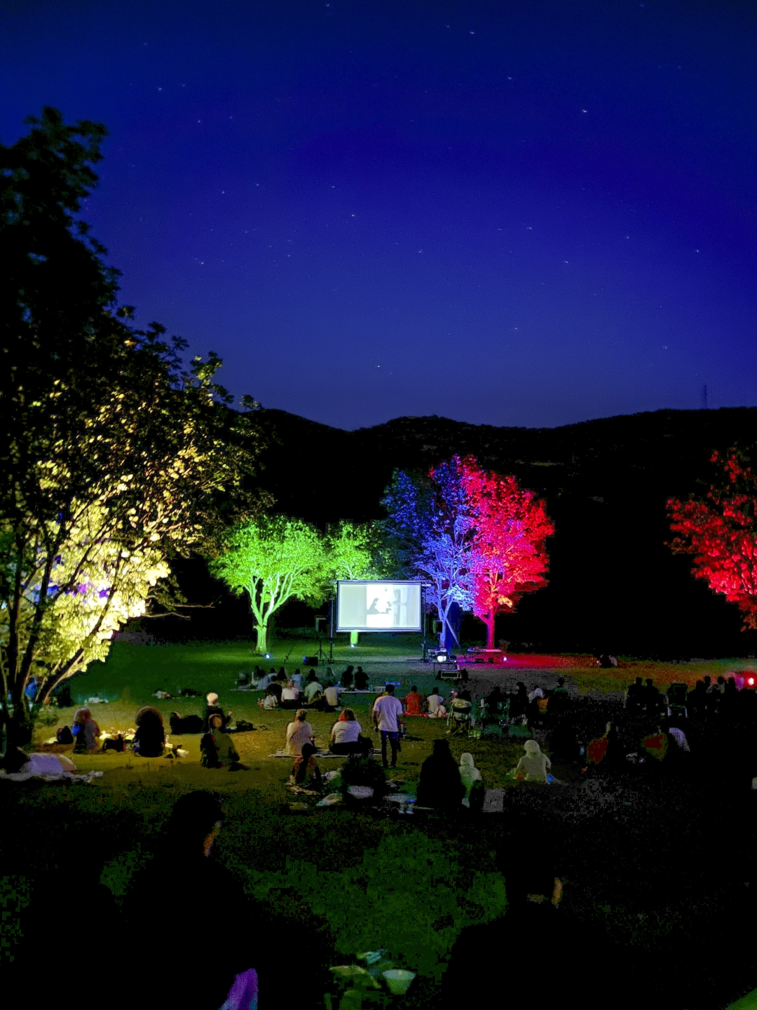 Bura Film Festival