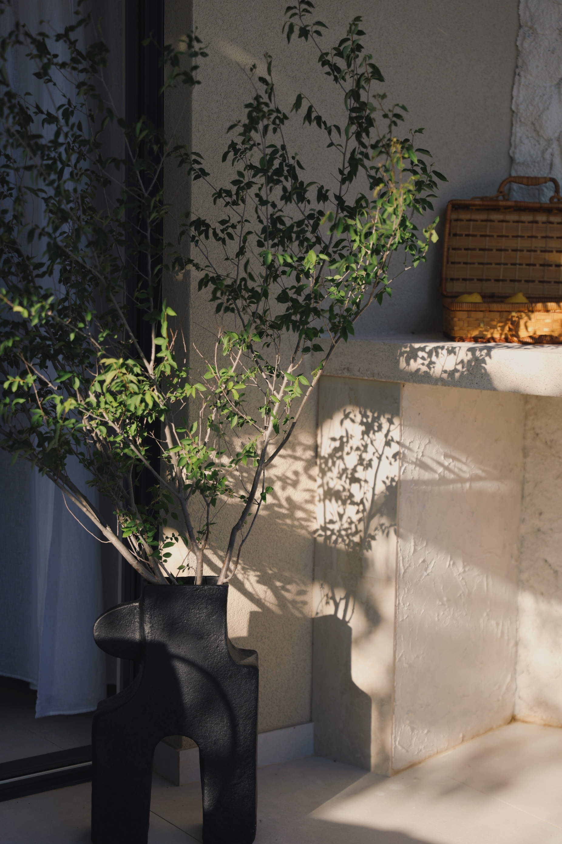 Casa Casolare_Ana Kutija