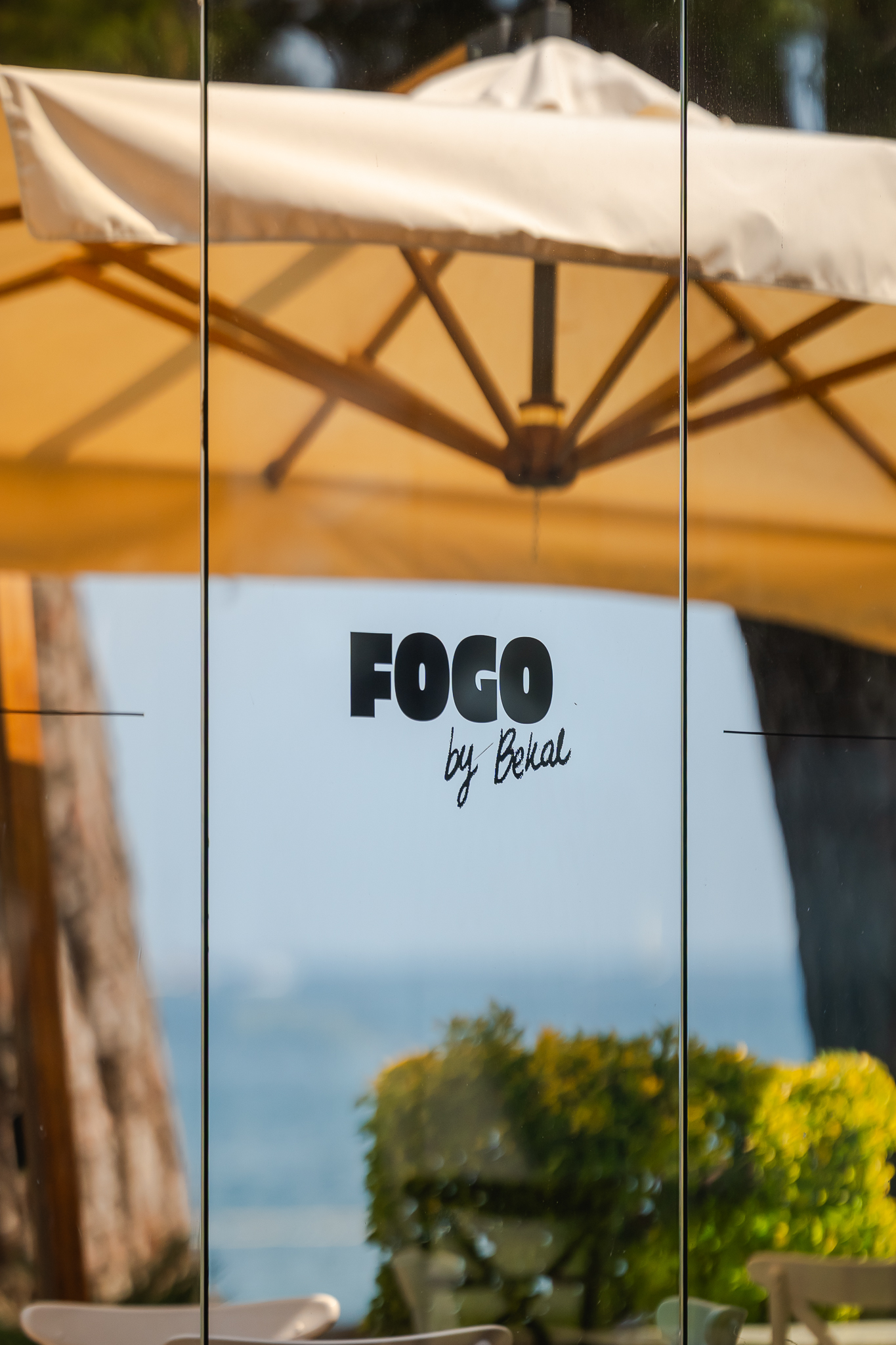 Fogo by Bekal