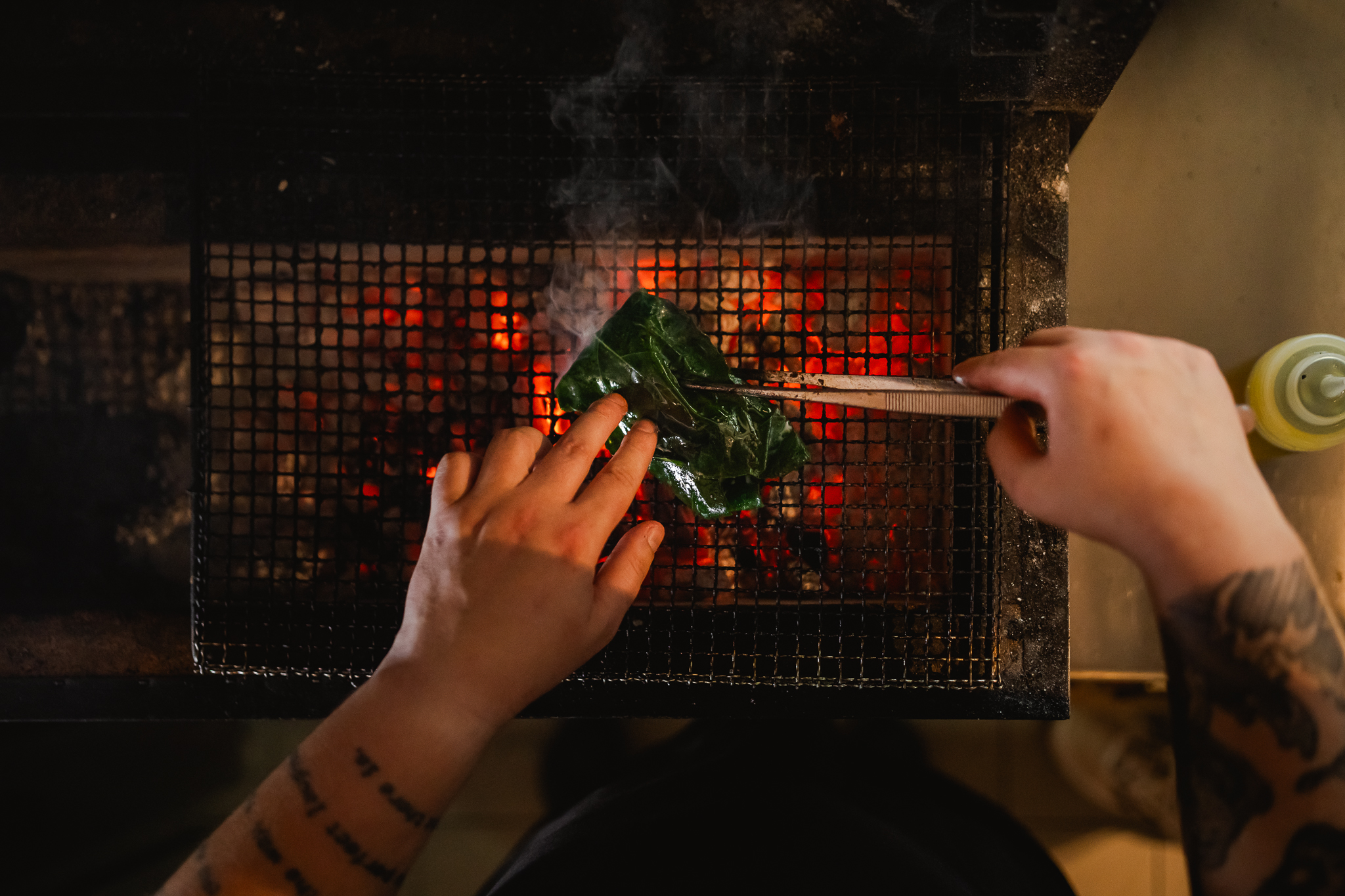 Fogo by Bekal