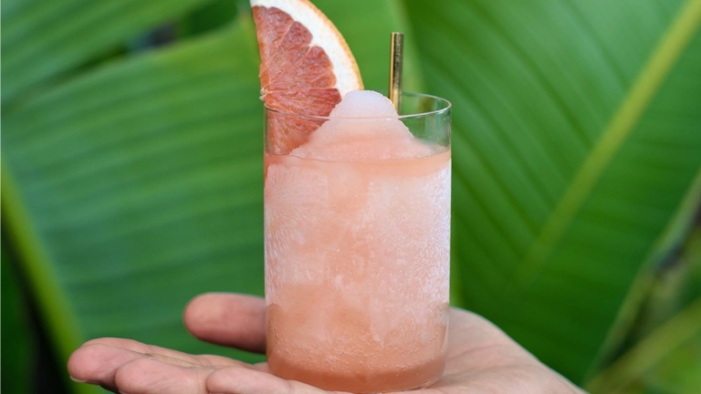 Frozen Paloma