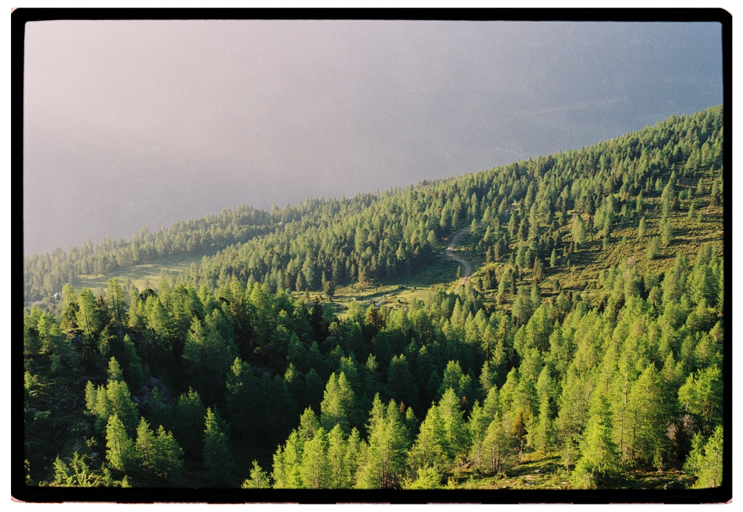 Koruška_Luka Tambača