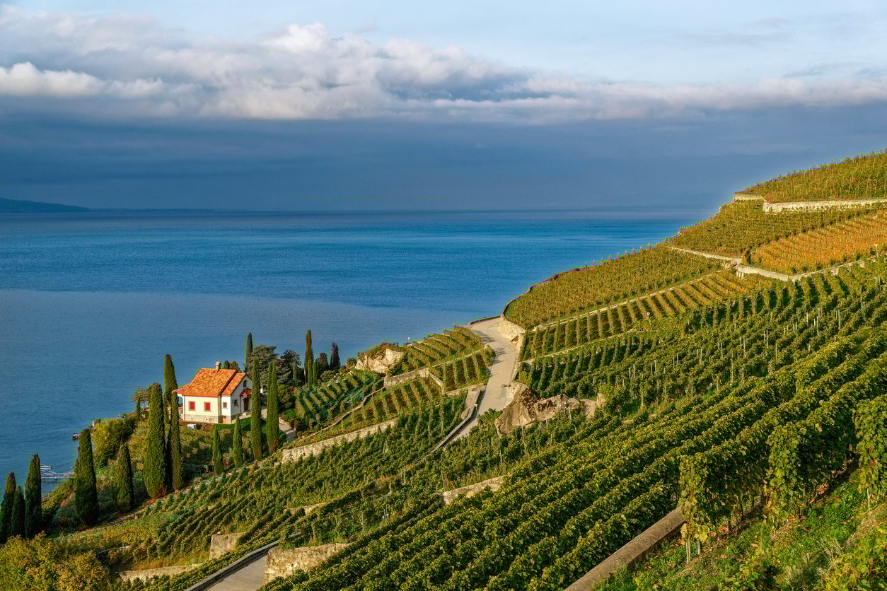 Lavaux_Patrick Petitjean_iStock-2208951265