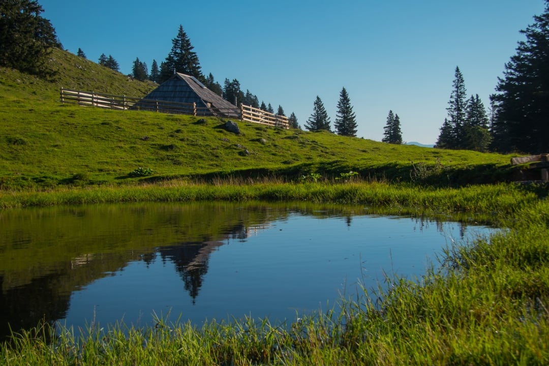 Mala planina_Anze Furlan_psgtproductions_iStock-1346666562