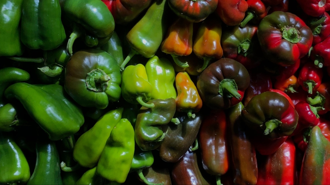 Tražite savršen recept za punjene paprike? Donosimo tradicionalni način pripreme sa savjetima