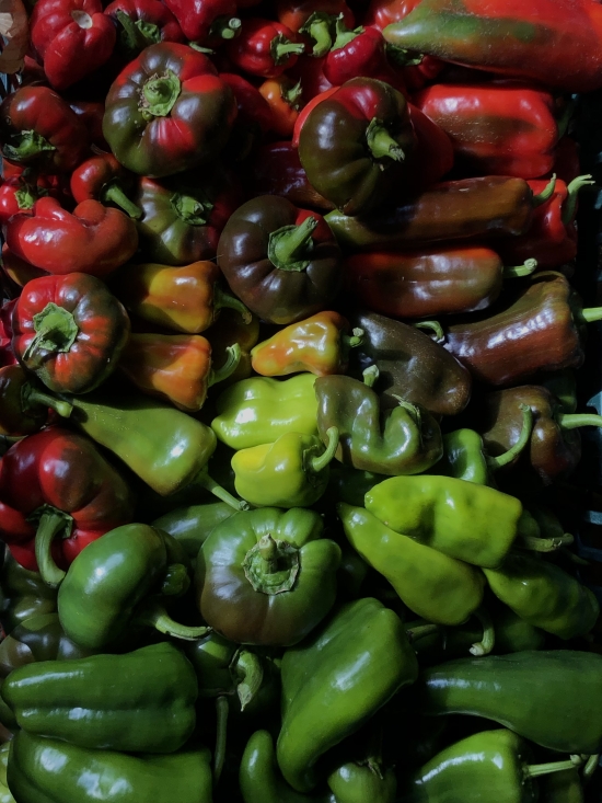Tražite savršen recept za punjene paprike? Donosimo tradicionalni način pripreme sa savjetima