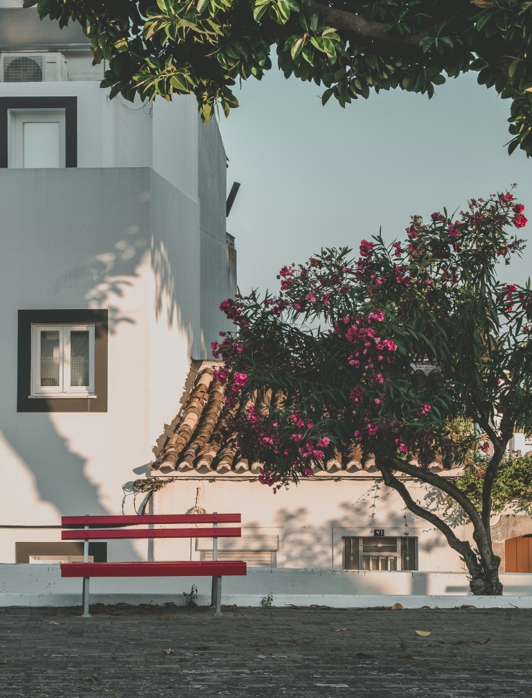 Tavira_alexandra-marta-32gKUKAgJNA-unsplash