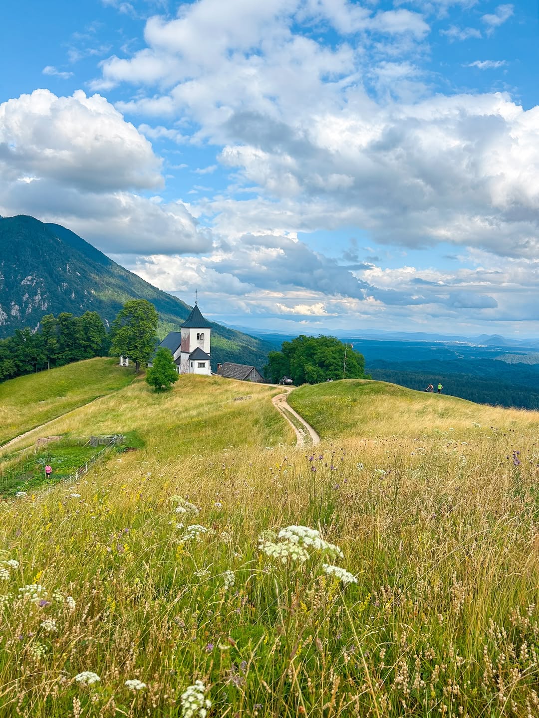 Coolcation: Rashladite se u šumi i uživajte u pogledu s popularnog slovenskog vidikovca