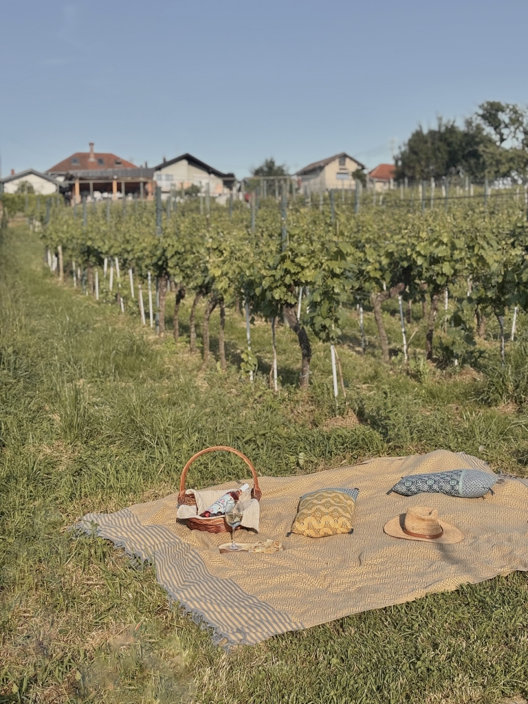 vinarija-stari-horvat-vrbovec15