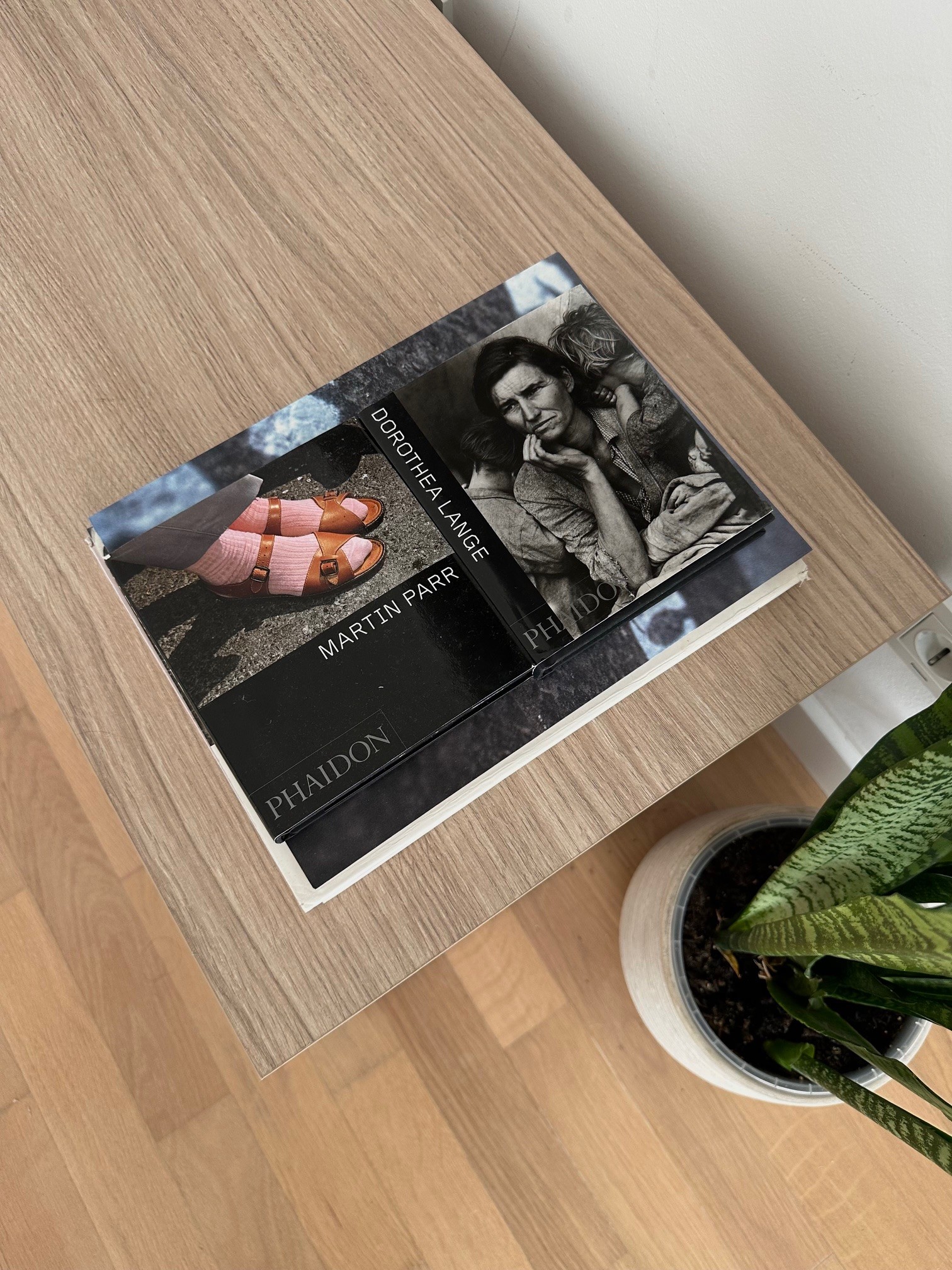 Anita Dujić_stan (8)
