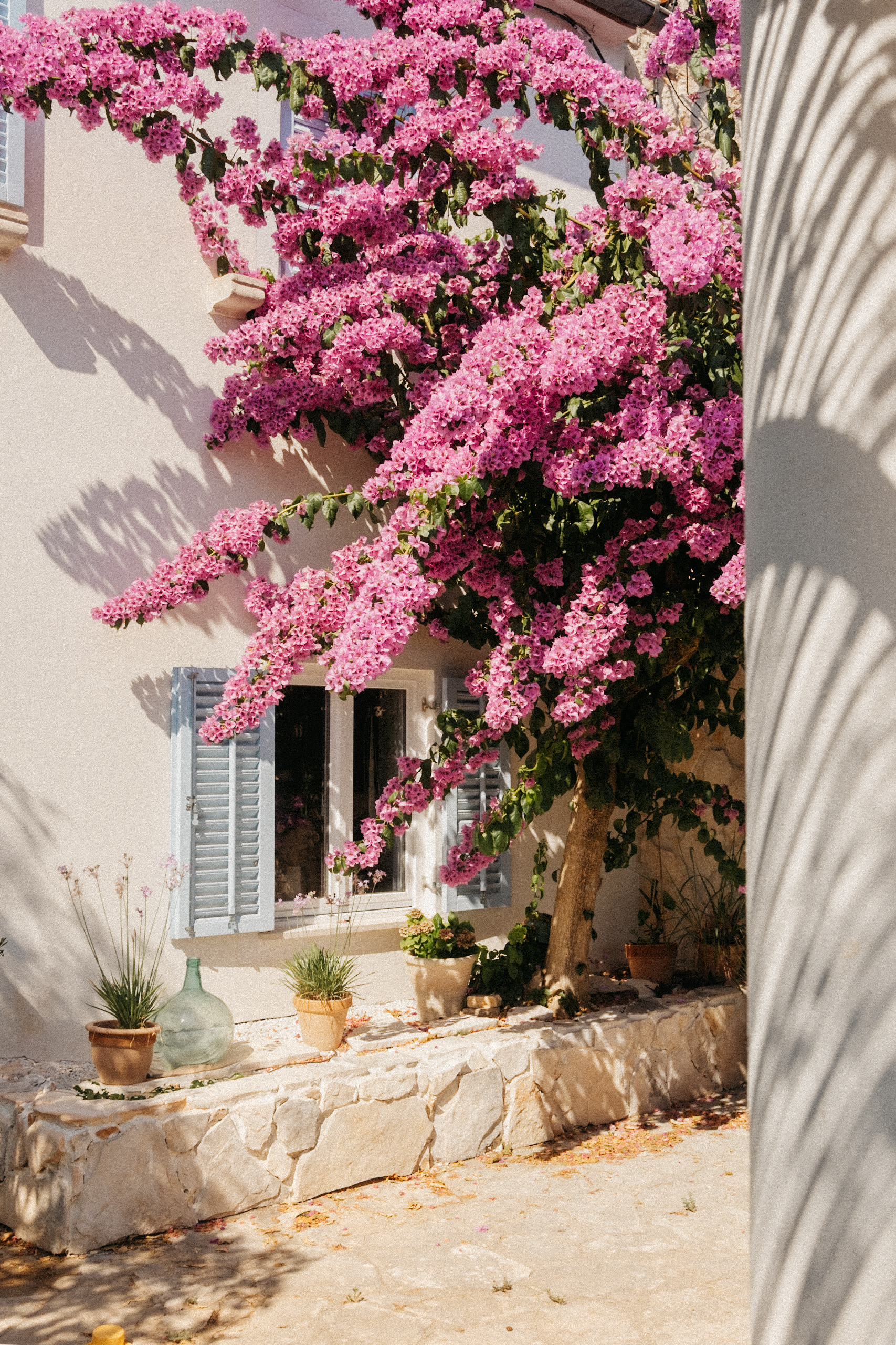 Naranča House_Lucia Canavan (24)