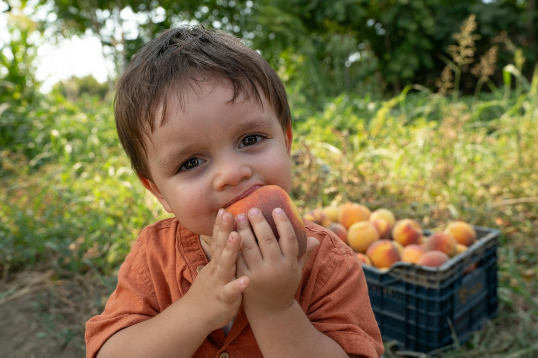Nutrimama - izbirljivost kod djece