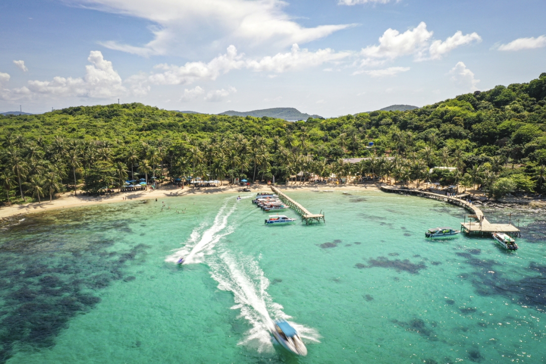 Plaža morskih zvijezda_Qui Thinh Tran_iStock-1325666326