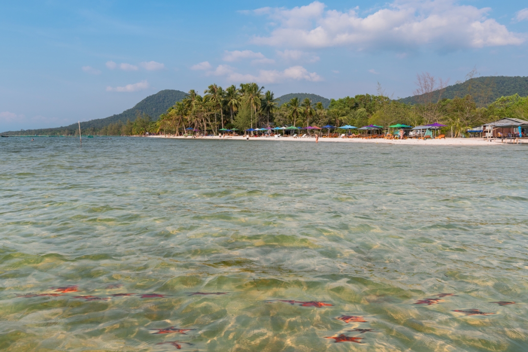 plaža morskih zvijezda_Andrei Selikatov_iStock-1280345784