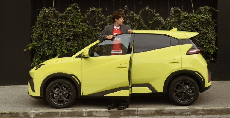 BYD Dolphin Surf