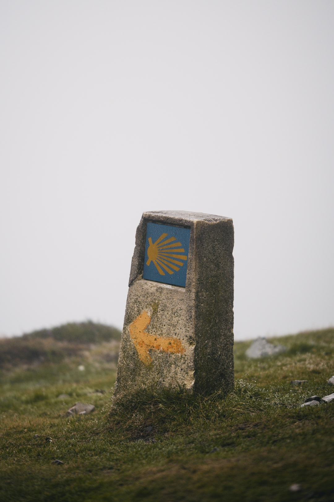 Camino de Santiago_sergio-kian--I5WnegrC24-unsplash